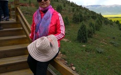 影音先锋av撸色